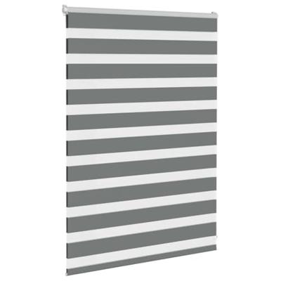 VidaXL Zebra rolgordijn 100x100 cm stofbreedte 95,9 cm donkergrijs
