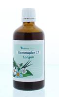 HGP017 Gemmoplex longen 100 Milliliter - thumbnail