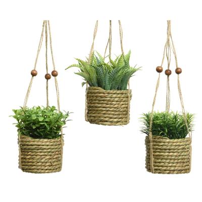 Decoratieve plant Everlands 8 x 12 cm Hanger Touw Groen PVC