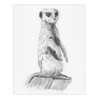 Tekenset Royal & Langnickel SKETCHING MADE EASY 33 Onderdelen - thumbnail