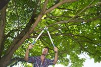 Gardena Takkenschaar Easycut 680B - thumbnail