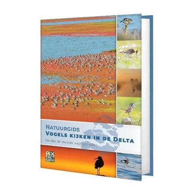 Pixfactory Natuurgids Vogels kijken in de Delta