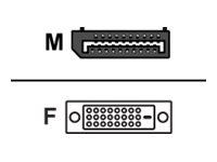 Fujitsu DisplayPort/DVI-adapterkabel