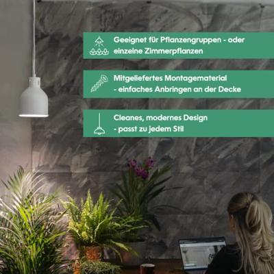 Venso Lampenscherm Saga 22 cm 230 V E27 18 W 1 stuk(s) Venso Lampenscherm Saga 22 cm 230 V E27 18 W 1 stuk(s)