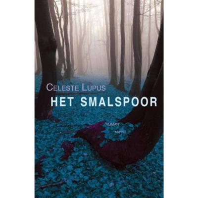 Het smalspoor (Hardback)