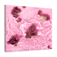 Schilderij - Rozenblaadjes in het water, roze, Premium print - thumbnail