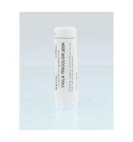 Viola tricolor 200K - thumbnail