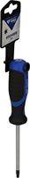 Brilliant Tools BT034908 Torx-schroevendraaier Grootte T 25 Koplengte: 100 mm 1 stuk(s) - thumbnail