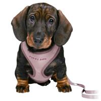Trixie junior puppytuig soft met riem lila - thumbnail