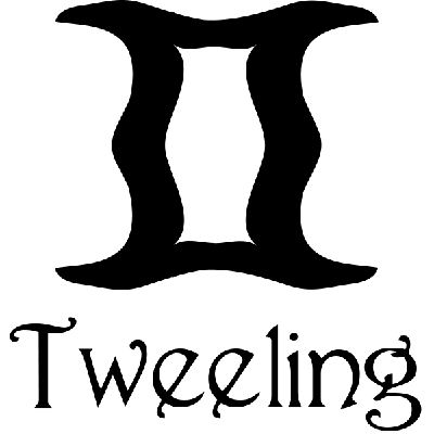 Tweeling sterrenbeeld - Muursticker