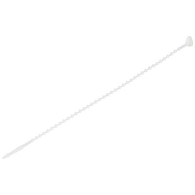 TRU COMPONENTS TC-12533372 Knopenband 145 mm 1.9 mm Natuurlijk wit 1000 stuk(s)