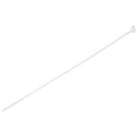 TRU COMPONENTS TC-12533372 Knopenband 145 mm 1.9 mm Natuurlijk wit 1000 stuk(s) - thumbnail