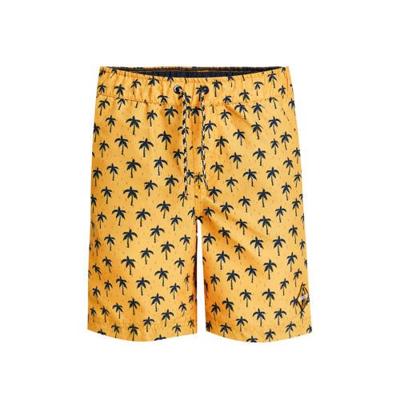 WE Fashion zwemshort met palmbomenprint geel/zwart
