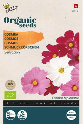 Organic Cosmos Sensation (Bio) zaden Buzzy - Buzzy