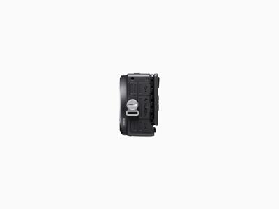 Sigma FP L body
