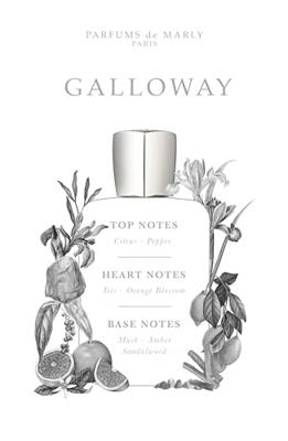 Parfums De Marly Galloway Eau de parfum Spray 75 ml Parfums De Marly Galloway Eau de parfum Spray 75 ml