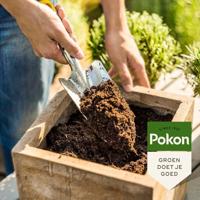 Pokon kokos potgrond compact 10 liter - thumbnail