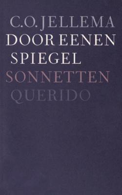 Door eenen spiegel - C.O. Jellema - ebook