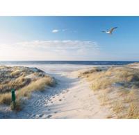 Buitencanvas strand/meeuw 78x58 cm Anna's Collection - Annas collection - thumbnail