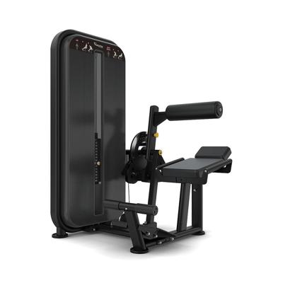 Vision Fitness ab/low back
