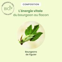 Herbalgem Vijgenboom Bio Spray 15ml - thumbnail