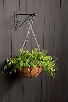 Hanging basket haak bol S Esschert's Garden Esschert Design - Esschert design - thumbnail
