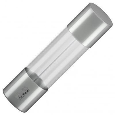 Siba Glaszekering 5x20 2a sn doosje (10)