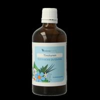 Balancepharma Echinacea purpurea tincturen 100 Milliliter - thumbnail