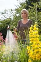 GARDENA comfort broes met verlengstuk - thumbnail