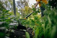 Solid schoffel Fiskars - Fiskars - thumbnail