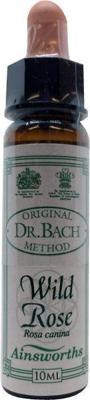 Ainsworths Wild rose Bach 10 Milliliter Ainsworths Wild rose Bach 10 Milliliter