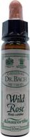 Ainsworths Wild rose Bach 10 Milliliter - thumbnail