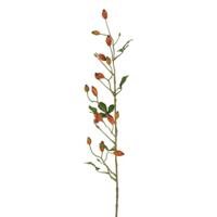 Kunstbes Rosa - thumbnail