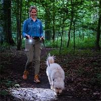 Hazet 1979N-72 Zaklamp werkt op batterijen 200 lm - thumbnail