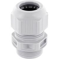KVS2GR Wartel Verschroefbaar M16 x 1.5 M16 x 1.5 Polyamide Grijs 1 stuk(s) - thumbnail