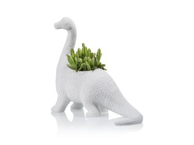 Dinosaurus Bloempot - Brachiosaurus