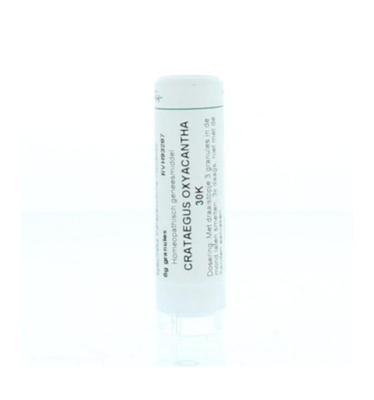 Homeoden Heel Crataegus oxyacantha 30K 6 Gram