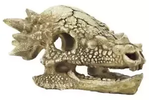 Skull T Rex M aquaria Superfish - Superfish Skull T Rex M aquaria Superfish - Superfish