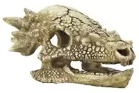 Skull T Rex M aquaria Superfish - Superfish - thumbnail