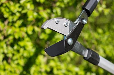 Meister Takkenschaar Telesc. Amboss 2C - WU9769300