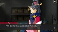 Ace Attorney Investigations Collection - thumbnail