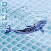 Spel/set Colorbaby Racing Boat Radiografische besturing Walvis - thumbnail