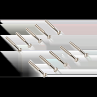 AMI Patentschroef Ijzer Vernikkeld M4X38 Verpakt Per 10 In Zakje - 900218 - thumbnail