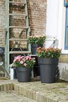 Elho green basics top planter bloempot 47 cm katoen wit - thumbnail