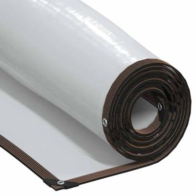 VidaXL Doorzichtig zeildoek met zeilringen 12x12 m polyethyleen VidaXL Doorzichtig zeildoek met zeilringen 12x12 m polyethyleen