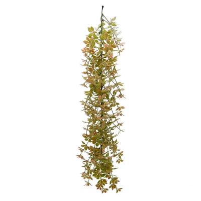 Hanger gynostemma pentaphyllum 75 cm kunsttak Buitengewoon de Boet - Buitengewoon de boet Hanger gynostemma pentaphyllum 75 cm kunsttak Buitengewoon de Boet - Buitengewoon de boet
