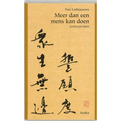 Meer dan een mens kan doen (Paperback) Meer dan een mens kan doen (Paperback)