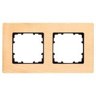 Siemens 5TG11024 Frame 2-voudig Delta Hout Schakelmateriaal 1 stuk(s)