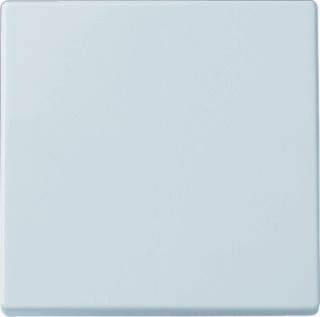 Busch-Jaeger bedieningswip 1786-84 studiowit