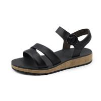 Paul Green 6112 - alle - thumbnail